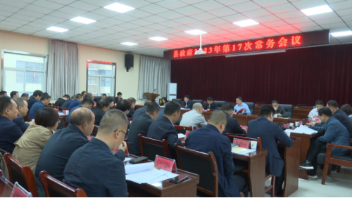 县政府召开2023年第17次常务会议